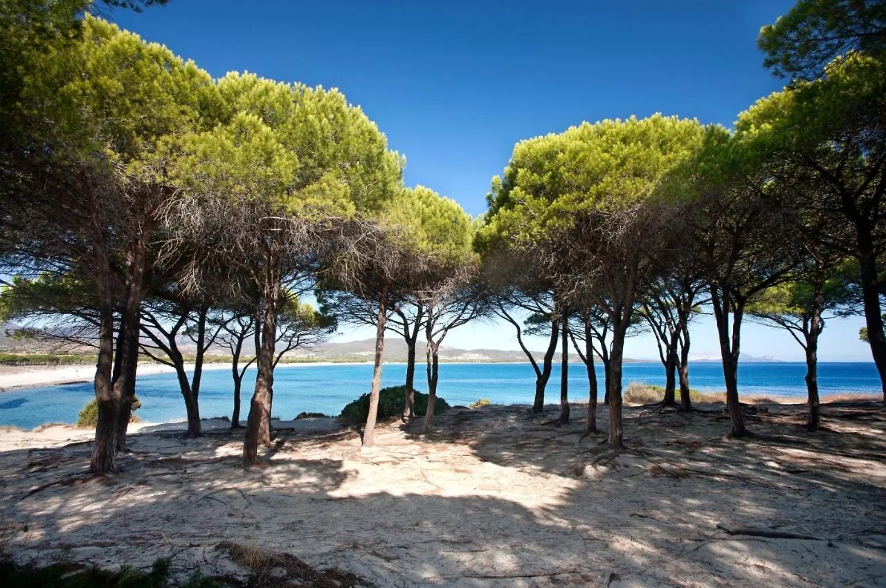 Grandi Famiglie O Comitive 150 Mt Spiaggia Budoni Affitti Holiday home