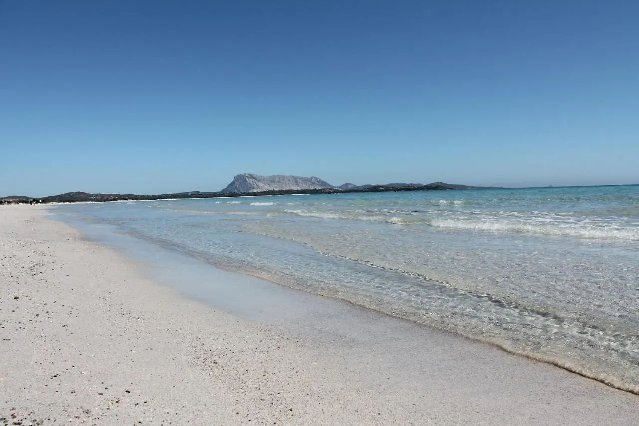 Grandi Famiglie O Comitive 150 Mt Spiaggia Budoni Affitti Italy